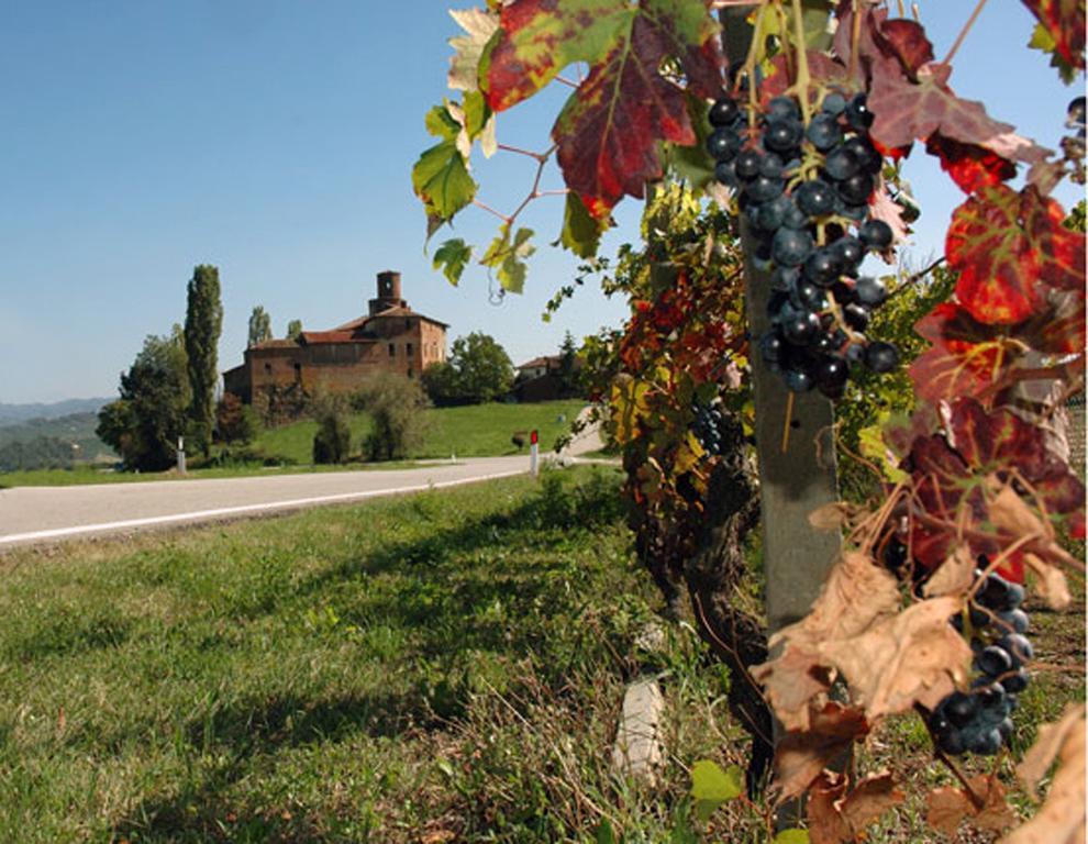 Cascina Rocca Agriturismo B&B Ла-Морра Номер фото